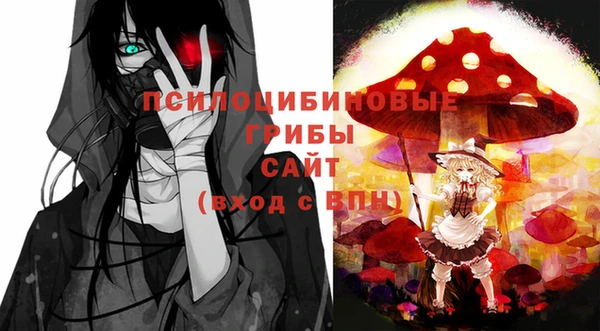 шишки Балабаново
