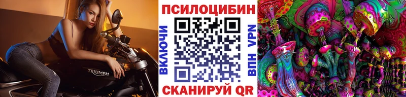 Купить где  Мышкин  Псилоцибиновые грибы Psilocybe 